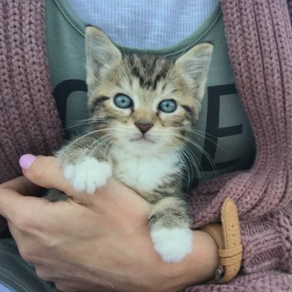 Shop Poshmark for a good cause